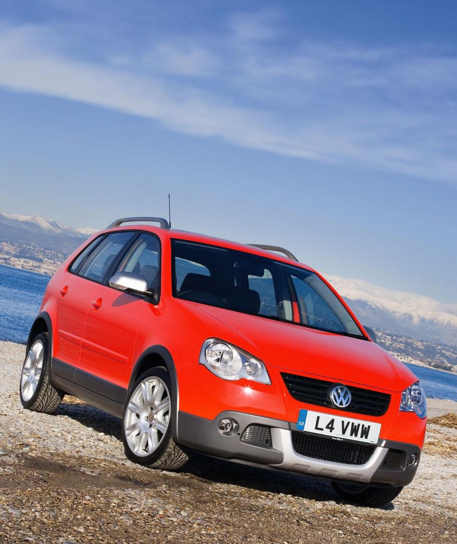  Volkswagen Polo Dune 2006 года  (фото 4 из 4)